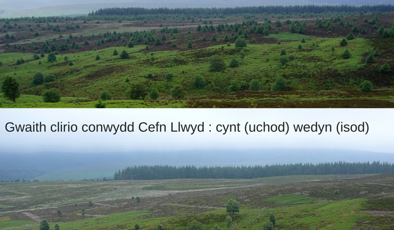 Cefn Llwyd Conifer Clearance- before and after pictures Cefn Llwyd Conifer Clearance- before and after pictures