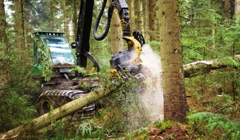 Machinery harvesting wood Machinery harvesting wood
