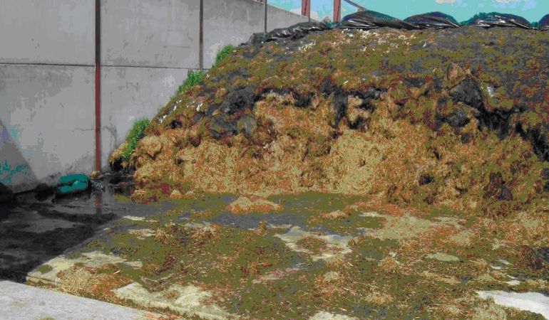 Silage storage Silage storage