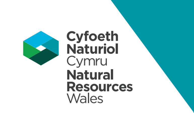 Logo Cyfoeth Naturiol Cymru