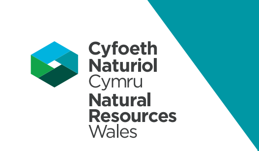 Logo Cyfoeth Naturiol Cymru