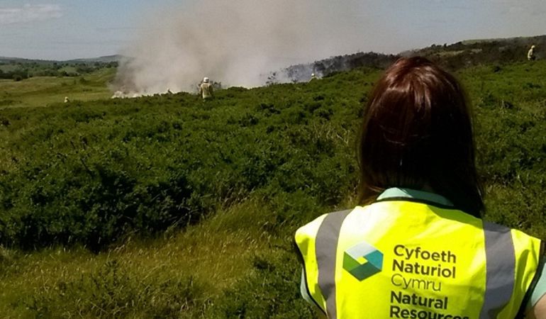 Fire at Halkyn Mountain Fire at Halkyn Mountain