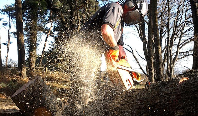Man cutting a log with chainsaw Man cutting a log with chainsaw