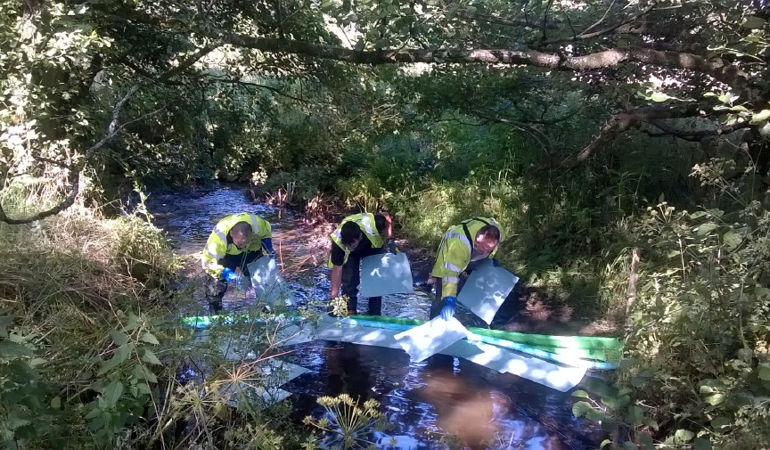 South ops team cleaning pollution from a river South ops team cleaning pollution from a river