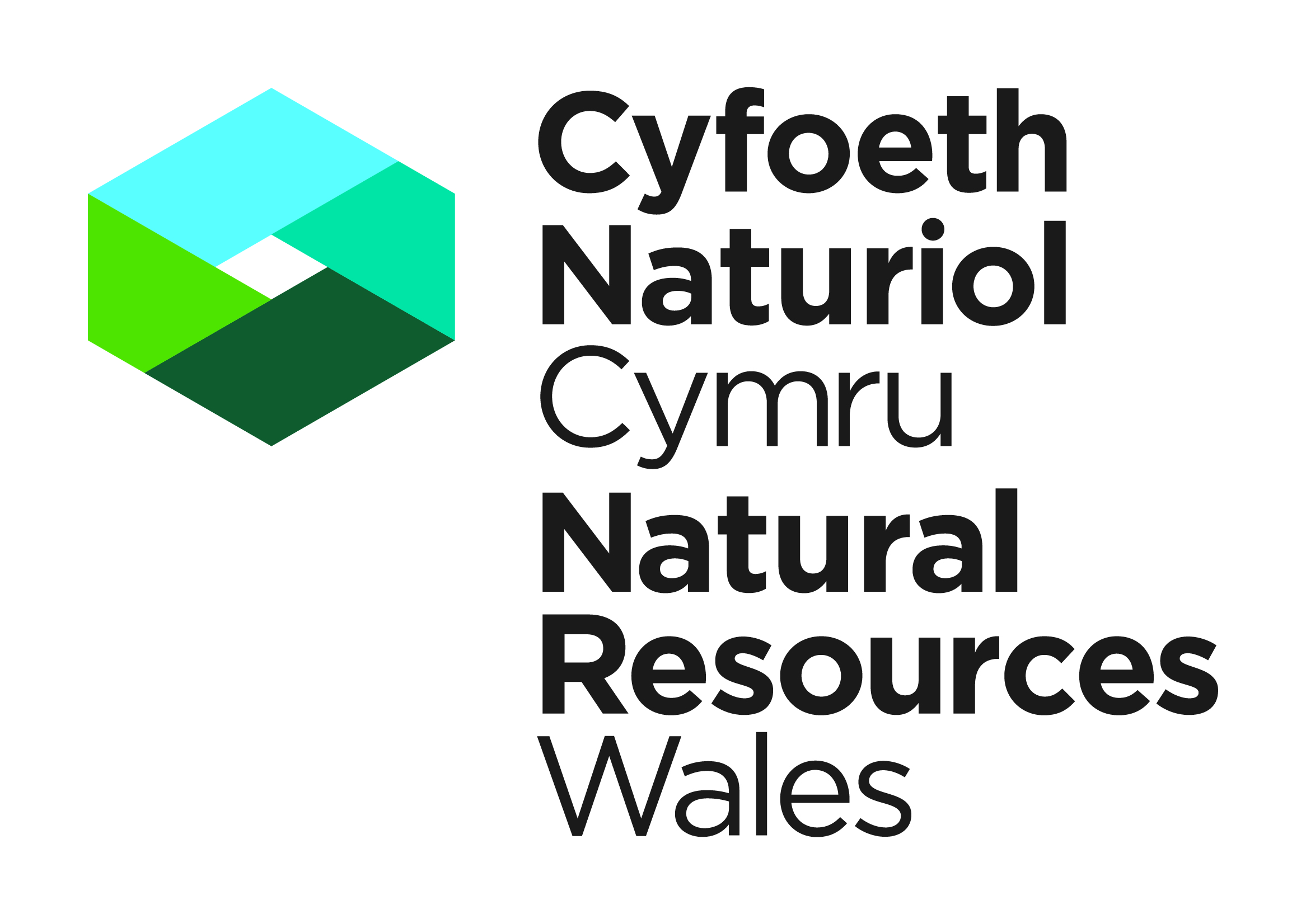 Cyfoeth Naturiol Cymru logo