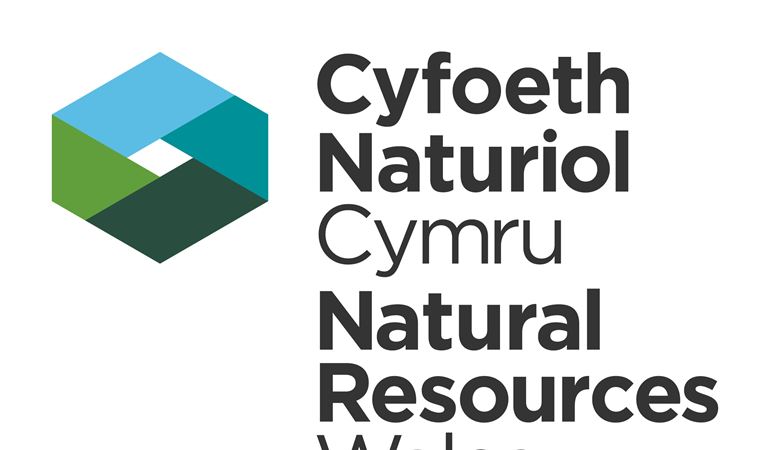 Cyfoeth Naturiol Cymru logo
