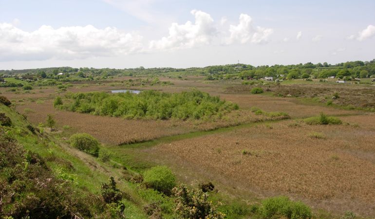 Valley fen Cors Goch anglesey Valley fen Cors Goch anglesey
