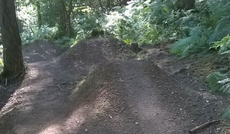 Photo showing mound of soil on a forest trail to create a jump for mountain biking Photo showing mound of soil on a forest trail to create a jump for mountain biking