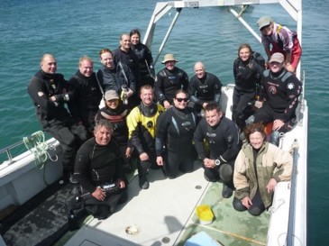 Divers at skomer