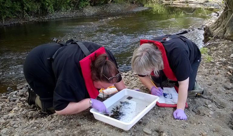 2 ladies examine a sample of water in a tray at the side of the river bank following a pollution incident 2 ladies examine a sample of water in a tray at the side of the river bank following a pollution incident