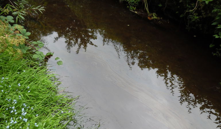 Pollution in a river Pollution in a river