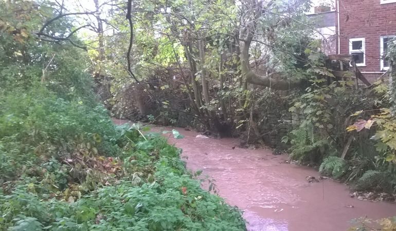 silt pollution in Wepre Brook silt pollution in Wepre Brook