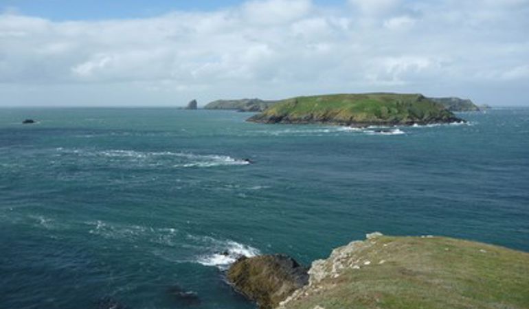 Skomer Marine Reserve picture Skomer Marine Reserve picture