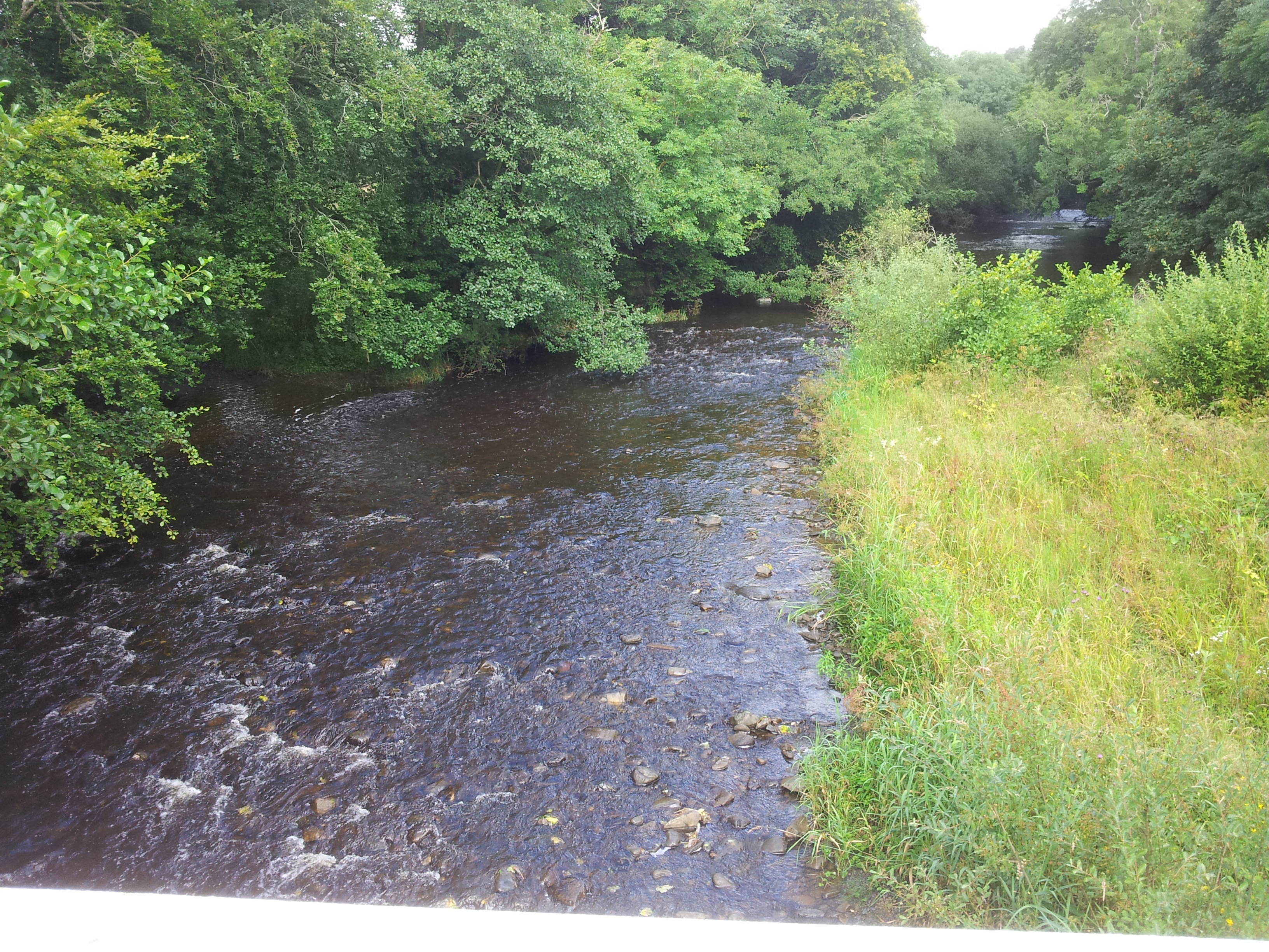 Vyrnwy - Plas Dolanog