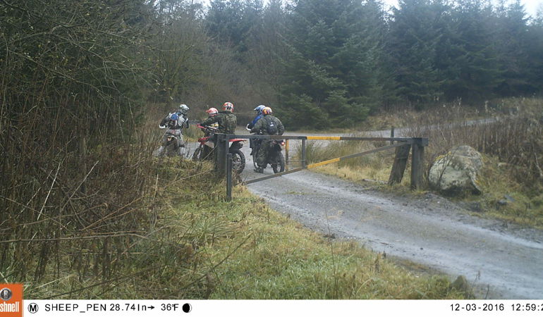 201 sheep pen gang of 5 road legal bikes 201 sheep pen gang of 5 road legal bikes