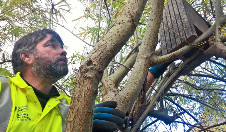 NRW staff member constructing bird box NRW staff member constructing bird box