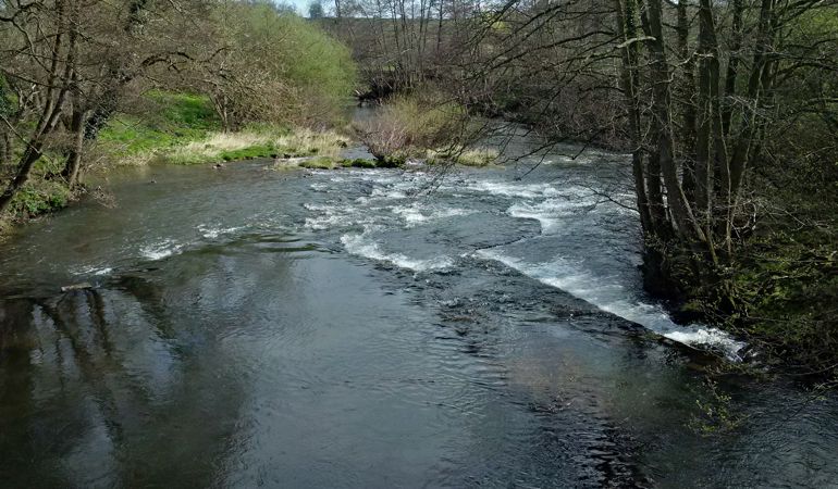 River Honddu with slurry pollution River Honddu with slurry pollution