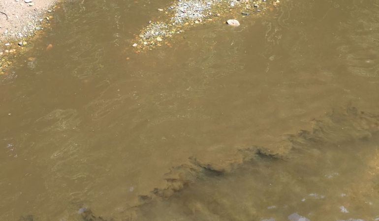 Slurry pollution in the Afon Bach and River Clwyd Slurry pollution in the Afon Bach and River Clwyd