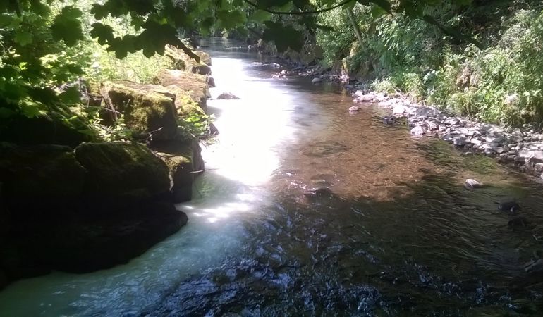 Milk pollution in the Nant Mudduch river Milk pollution in the Nant Mudduch river