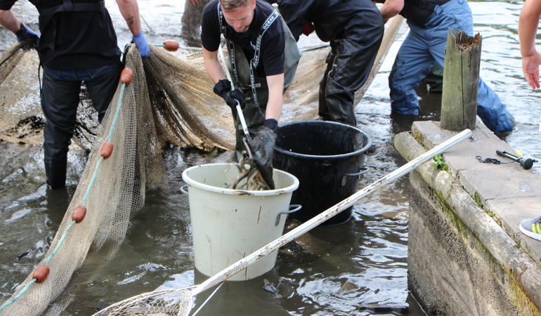 NRW with Newport City Council and local angling clubs to save fish at Fourteen Locks NRW with Newport City Council and local angling clubs to save fish at Fourteen Locks