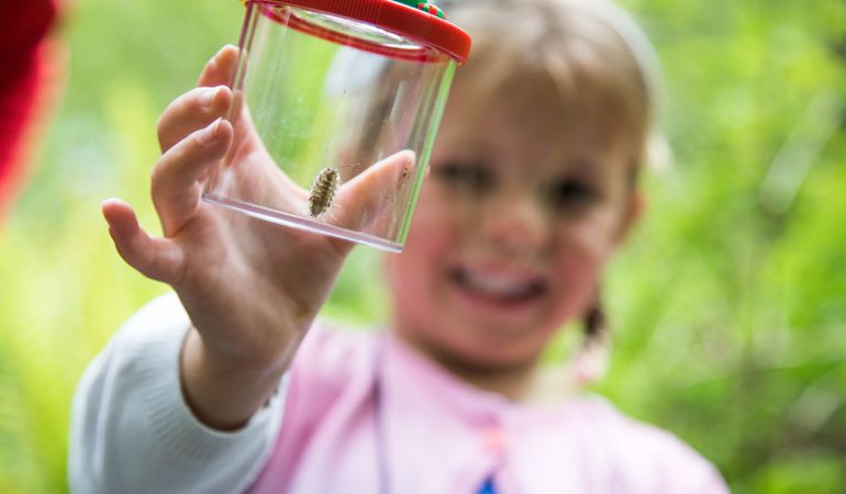 Young girl holding a bug pot Young girl holding a bug pot