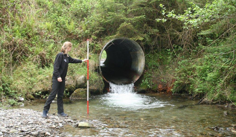 NRW staff member inspecting the water NRW staff member inspecting the water