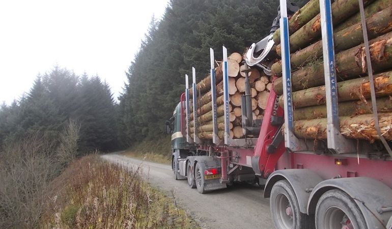 Lorry transporting timber on the A483 trunk road Lorry transporting timber on the A483 trunk road