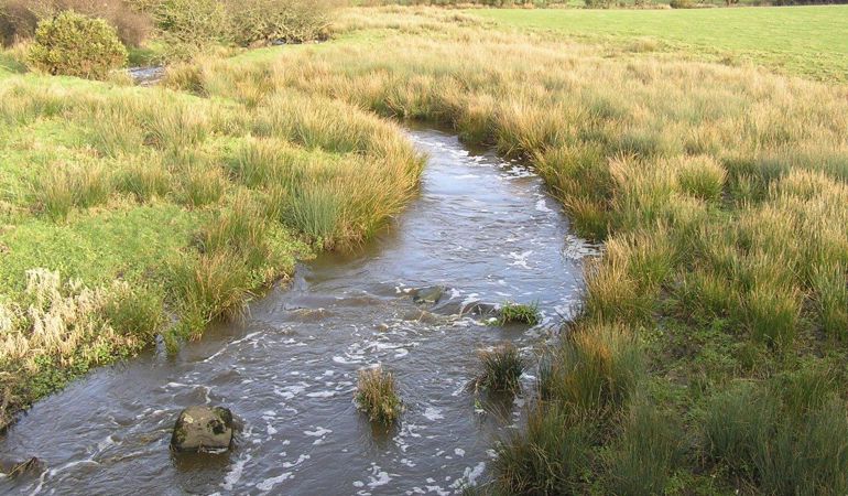 Slurry pollution incident at the river Afon Gwna Slurry pollution incident at the river Afon Gwna