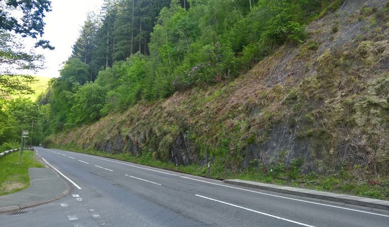 LLeoliad gwaith i gwympo coed ansad LLeoliad gwaith i gwympo coed ansad