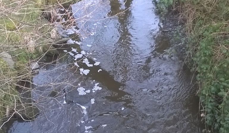 Slurry pollution in Nant Bran, near Lampeter, Ceredigion Slurry pollution in Nant Bran, near Lampeter, Ceredigion
