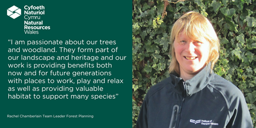 Rachel Chamberlain I am passionate about our trees and woodland. They form part of our landscape and heritage and our work is providing benefits both now and for future generations with places to work, play and relax, as well as providing valuable habitat to support many species