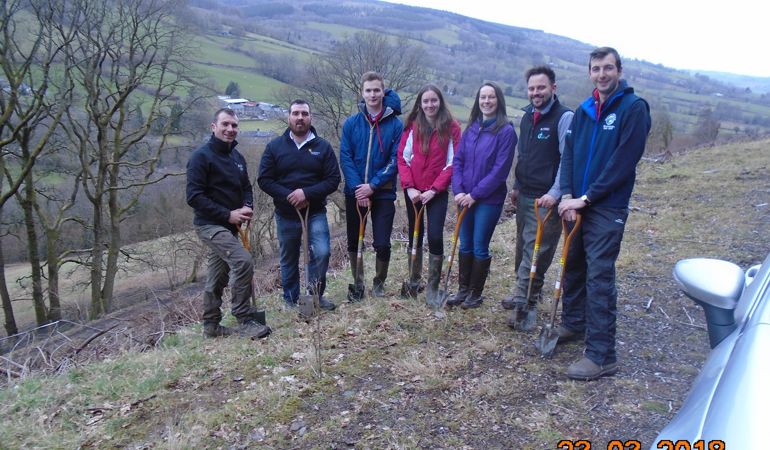 NRW and a group of volunteer members from Brecknock YCF planting the oak saplings NRW and a group of volunteer members from Brecknock YCF planting the oak saplings