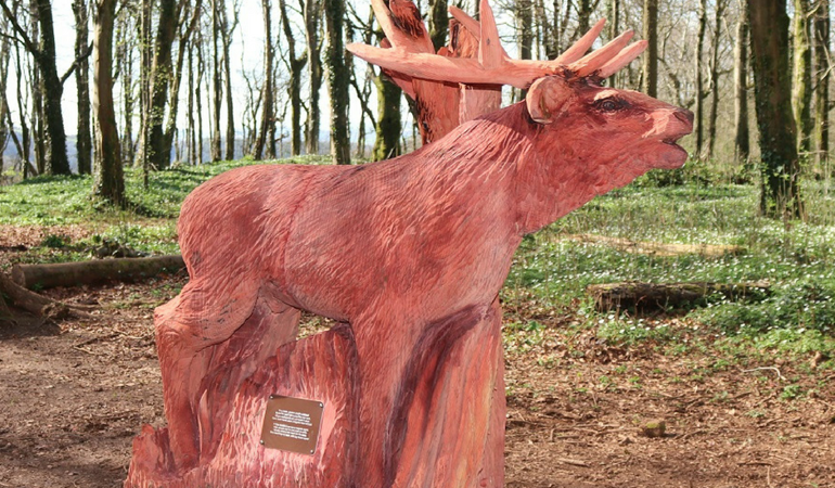 Red deer Fforest Fawr Red deer Fforest Fawr