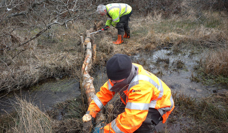 Leaky dam being installed Leaky dam being installed