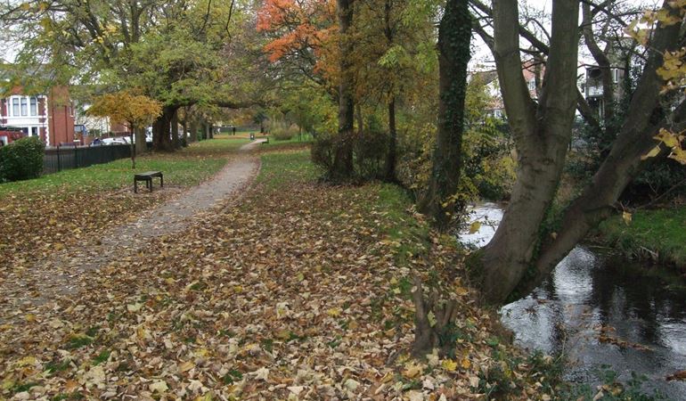 An autumnal photo of Roath Brook with the trees overhanging the riverbank and a path running through the park with fallen leaves on the floor.
