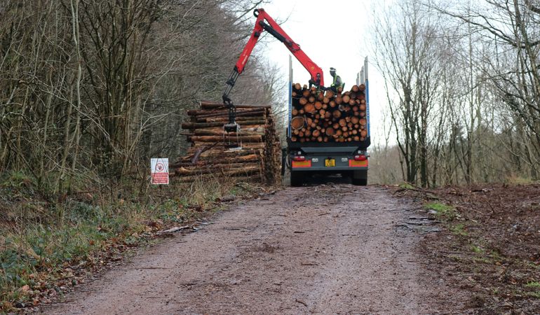 Fforest Fawr timber Fforest Fawr timber