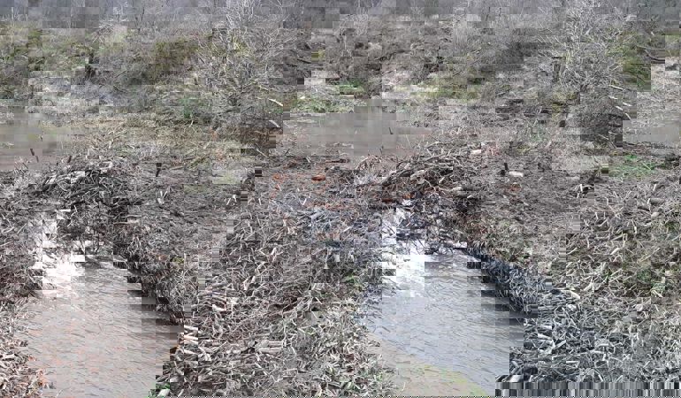 Leaky dam in river Leaky dam in river