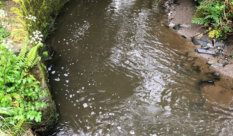 Slurry pollution at the Afon Dyfan Slurry pollution at the Afon Dyfan