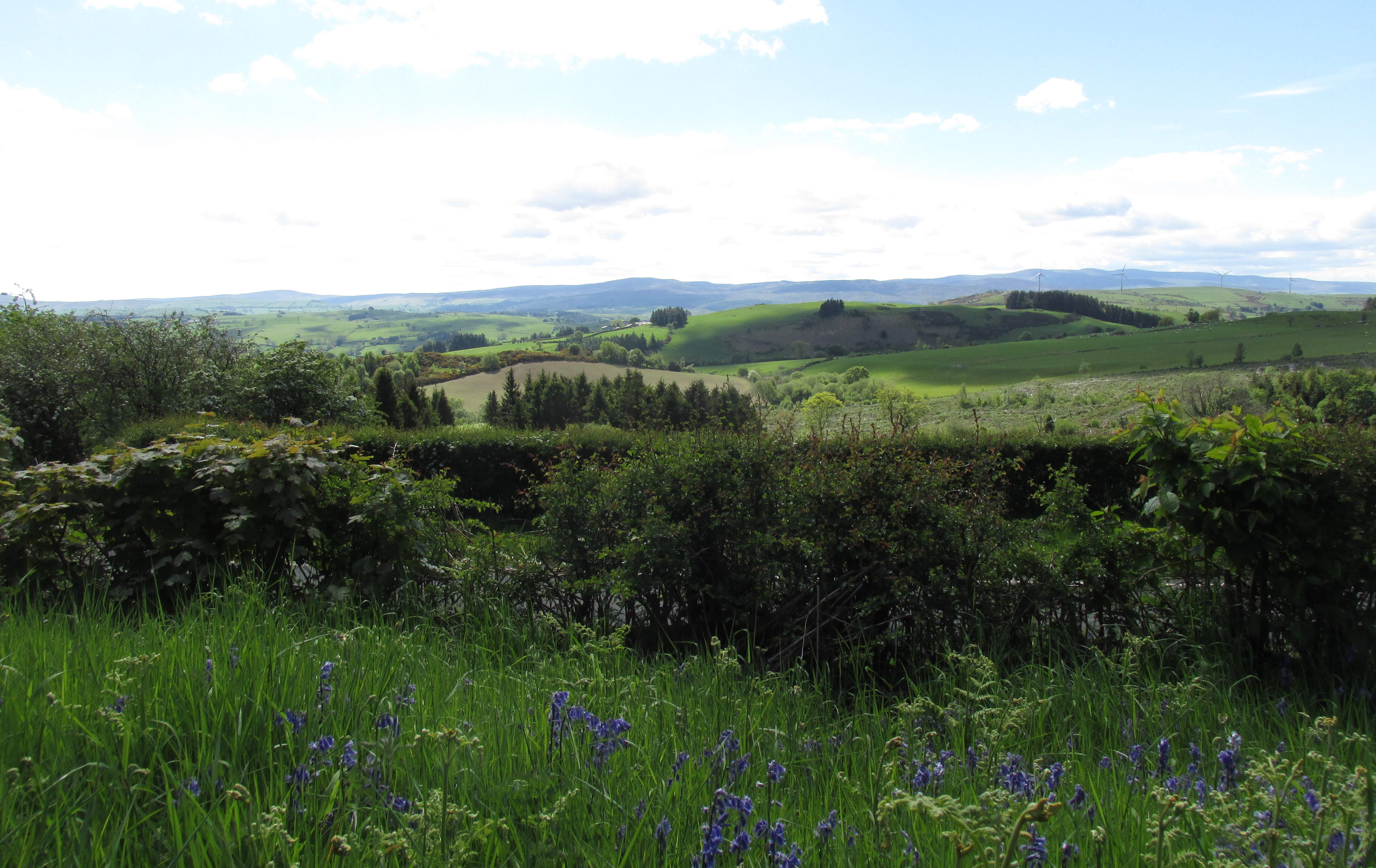 Natural Resources Wales / Clocaenog Forest - Bod Petryal, near Ruthin