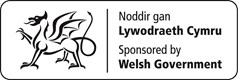 Welsh Govt logo