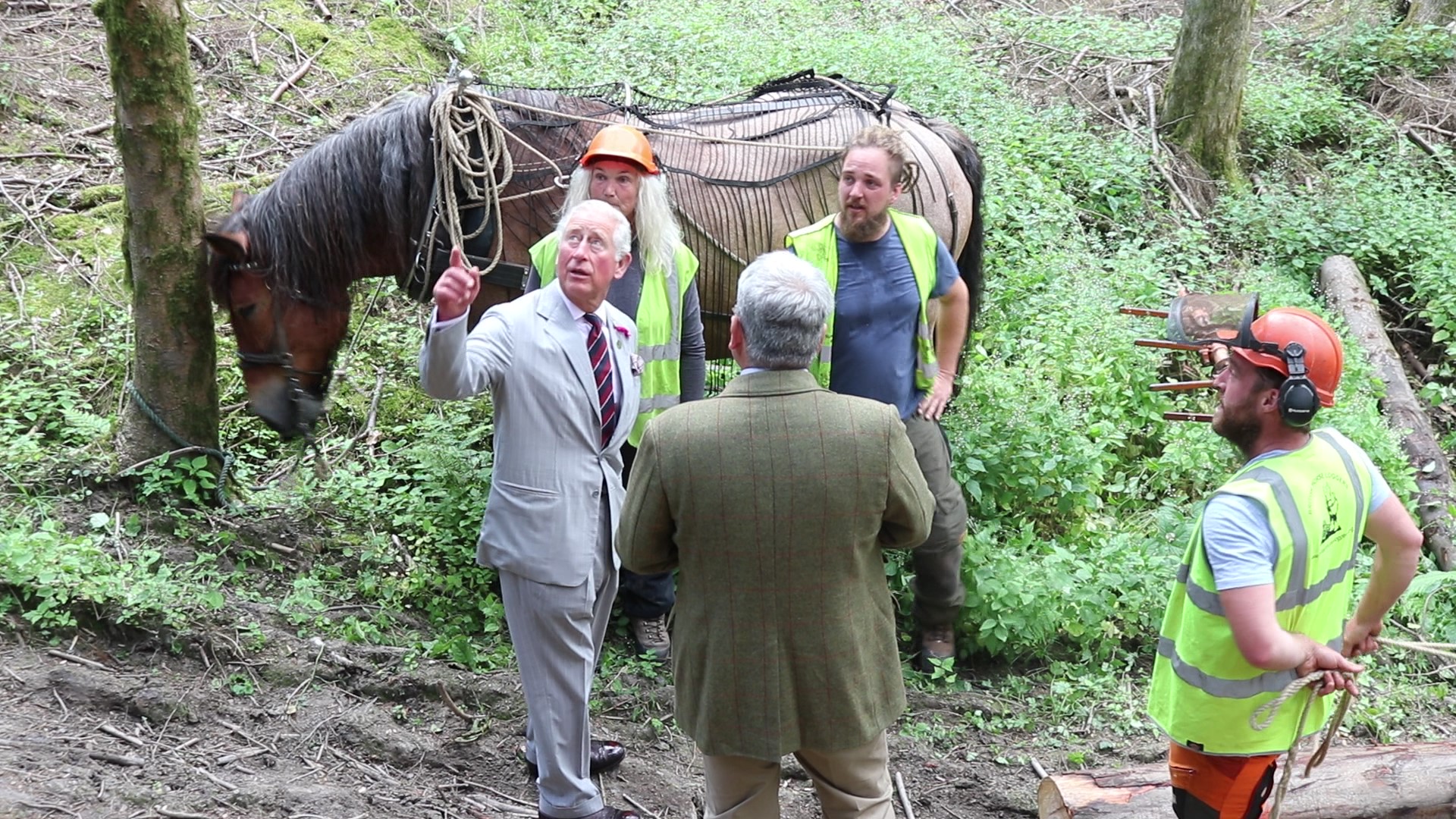 Prince Charles talking with horse-loggers in woods