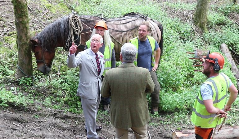 Prince Charles talking with horse-loggers in woods