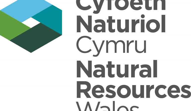 logo cyfoeth naturiol cymru