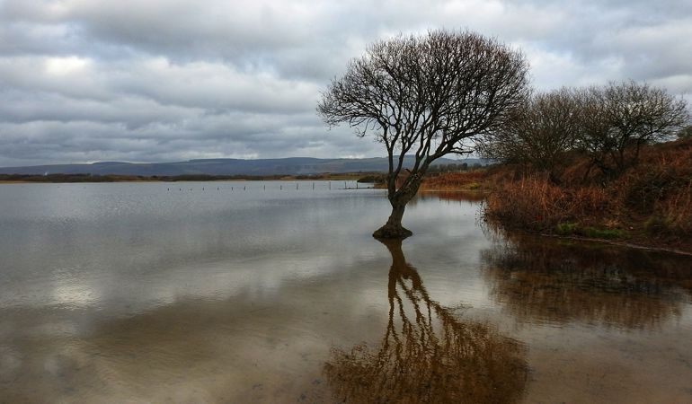Photo of Kenfig Pool showing with a tree in the foreground and dunes and mountains in the background Photo of Kenfig Pool showing with a tree in the foreground and dunes and mountains in the background