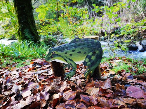 Frog on Animal Puzzle Trail