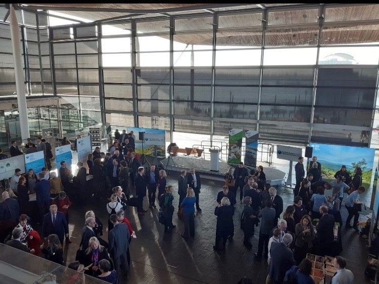 Event at Senedd