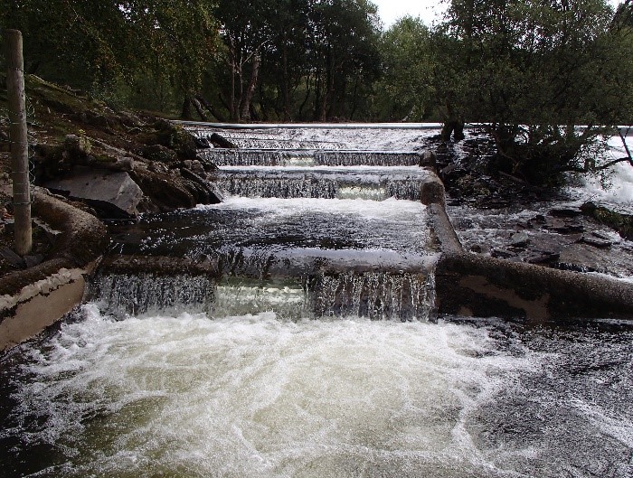 Ffoto o llwybr pysgod wedi ei adeiladu ar yr Afon Ogwen