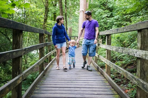 Natural Resources Wales Gwydir Forest Park Betws Y Coed