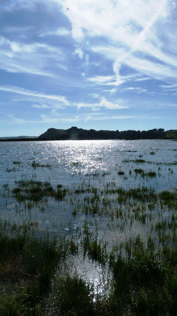 An image showing Cwm Ivy at high tide: a saltmarsh that was the result of managed realignment following a breach in the seawall in North Gower. 