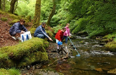 Family Fishing in a community woodland Dolgoch Falls, Tywyn, Meirionnydd